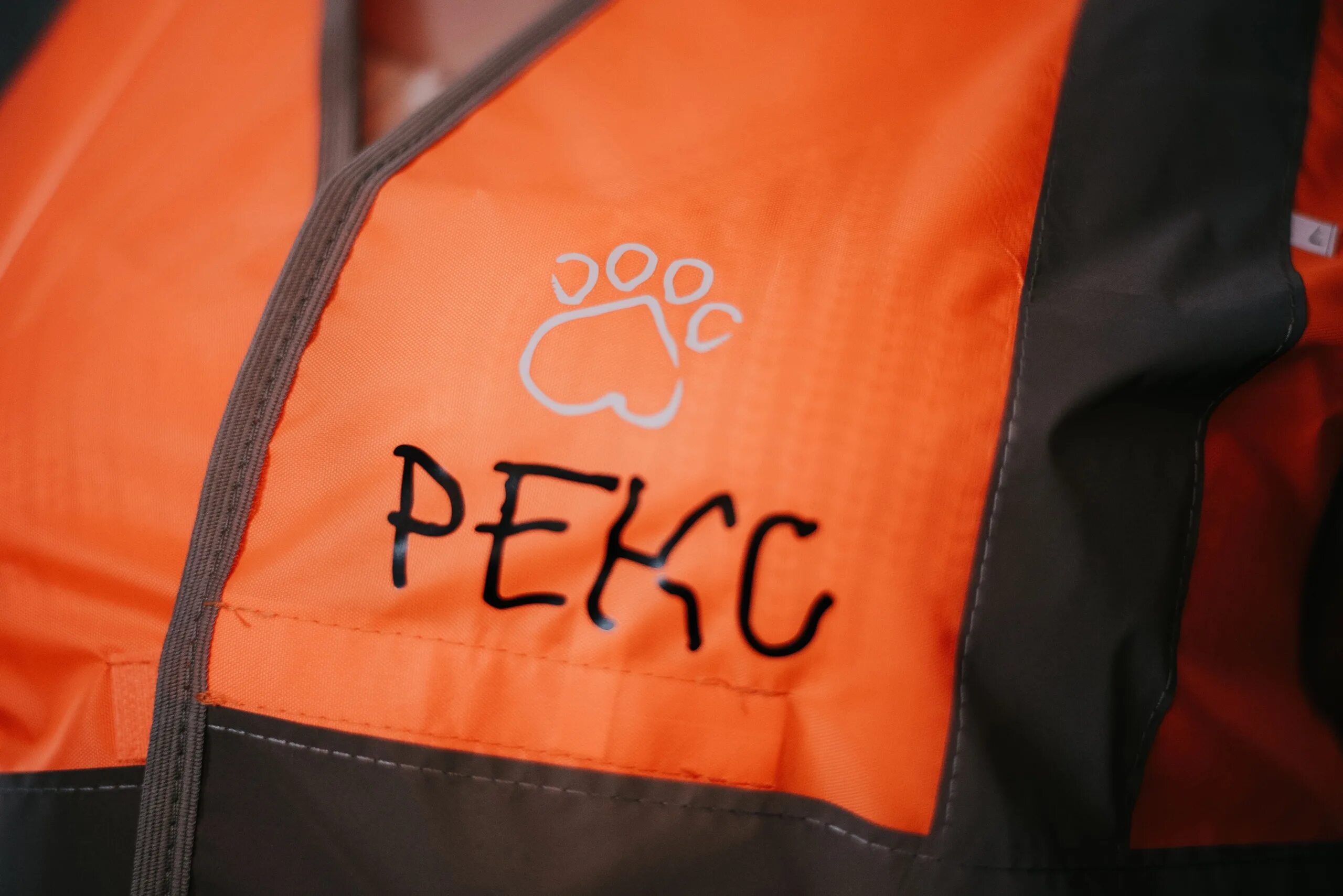 Рекс бф. Благотворительный фонд рекс петрозаводск. карелия фонд рекс логотип.
