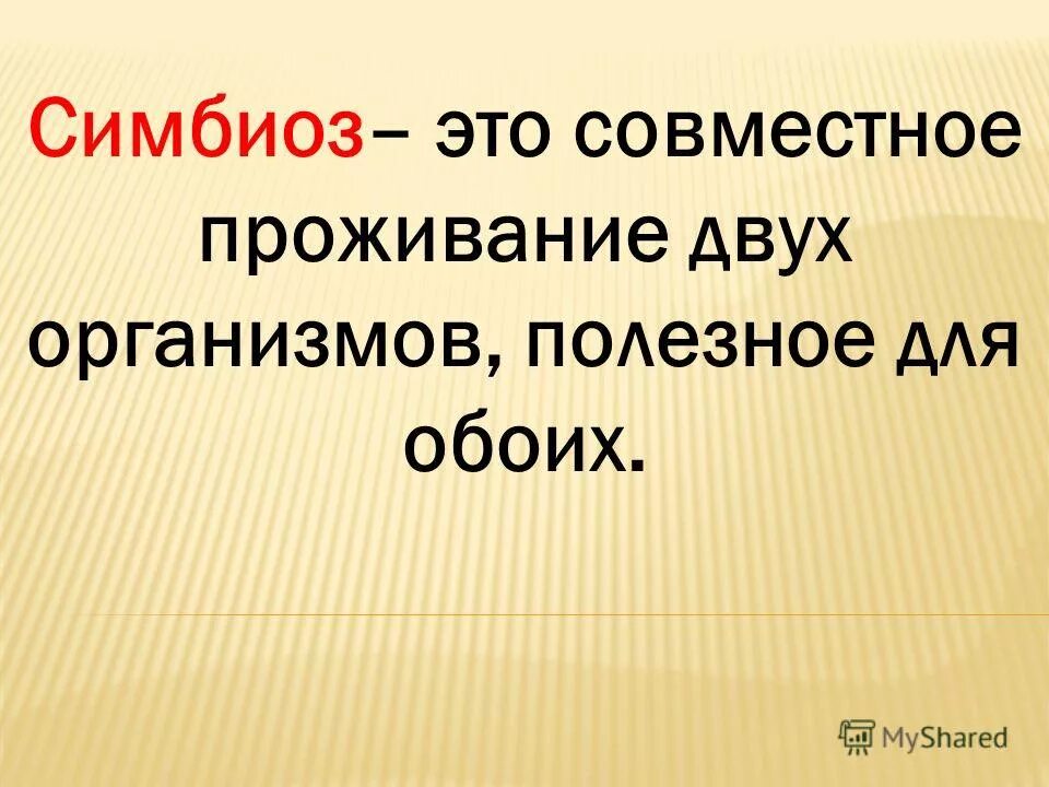 Сожительство двух организмов полезное обоим