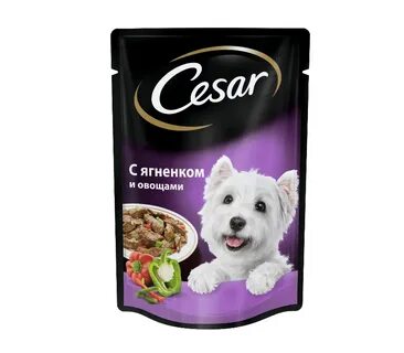 Собачий корм влажный