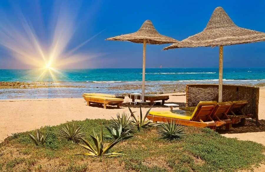 Tamra beach resort 4 египет. Sunrise royal makadi resort 5. египет санрайз роял макади. Sierra hotel 5 египет шарм-эль-шейх. туры в египет в июне 2024.