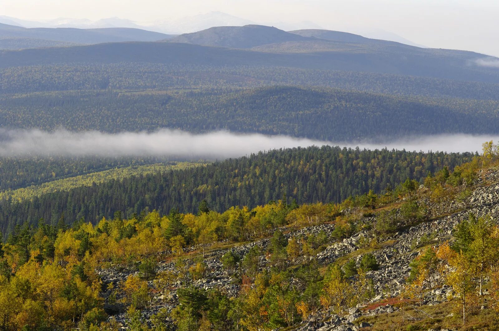 гух северный урал. хребет уральский поселок. гух главный уральский хребет. урал (регион) уральские горы. уральские горы в казахстане.