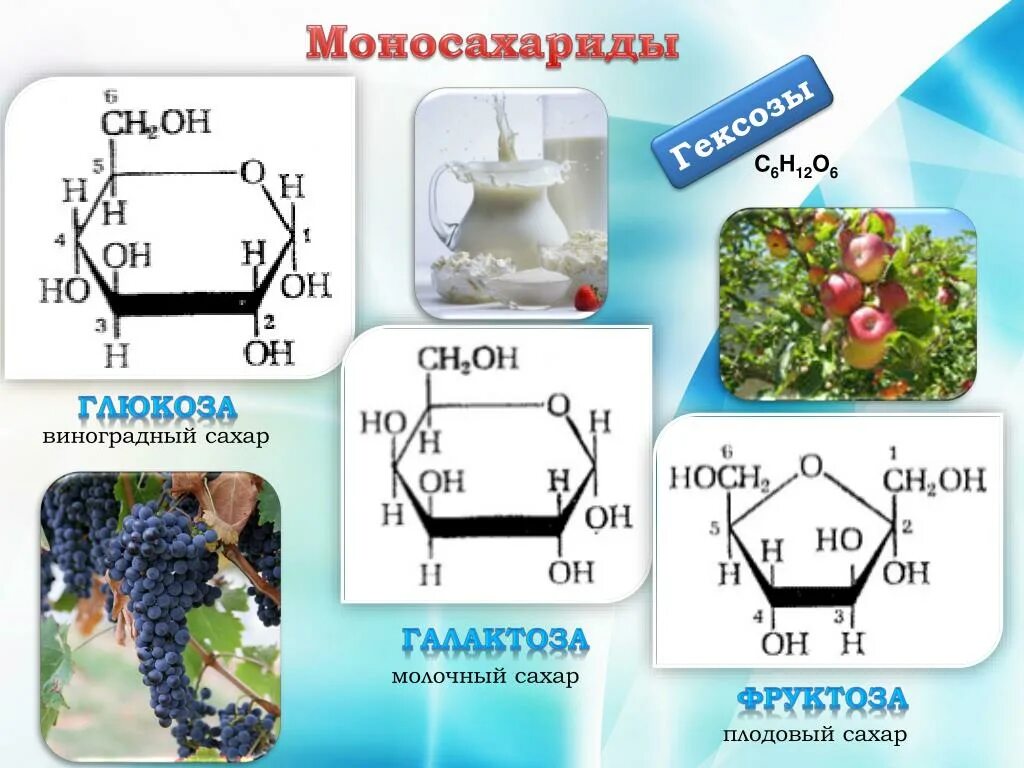 Глюкоза формула название. Углеводы моносахара Глюкоза. Глюкоза моносахарид строение. Глюкоза фруктоза галактоза формулы. Моносахариды гексозы формула.