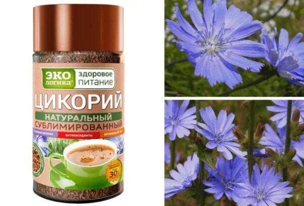 Лучший цикорий рейтинг. Марки сублимированного цикория. настоящий сублимированный цикорий. цикорий в ложке. цикорий сублимированный индия.