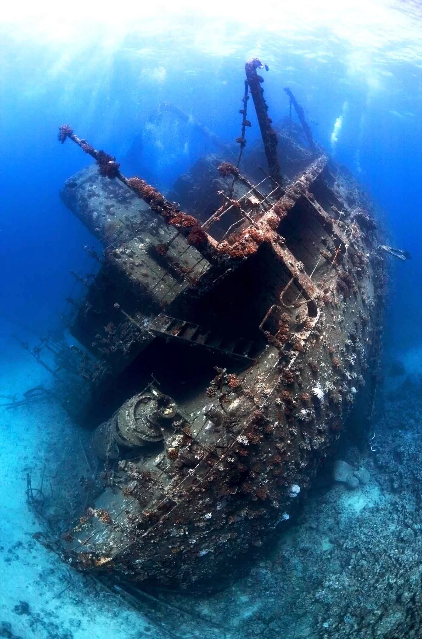 Корабль SS Thistlegorm, красное море. Риф Абу Нухас. Андреа Дориа под водой. Затонувший испанский Галеон Сан Хосе. Корабли лежащие на дне