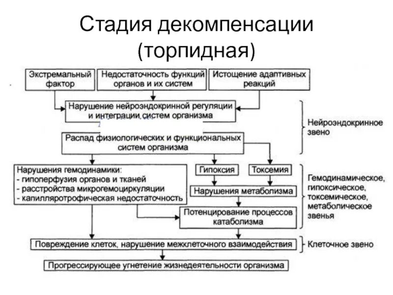 Декомпенсация что это. ХСН В стадии декомпенсации. Признаки декомпенсации. Стадия декомпенсации обменных процессов. Стадия декомпенсации шока.