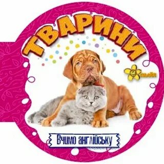 Круглая книга