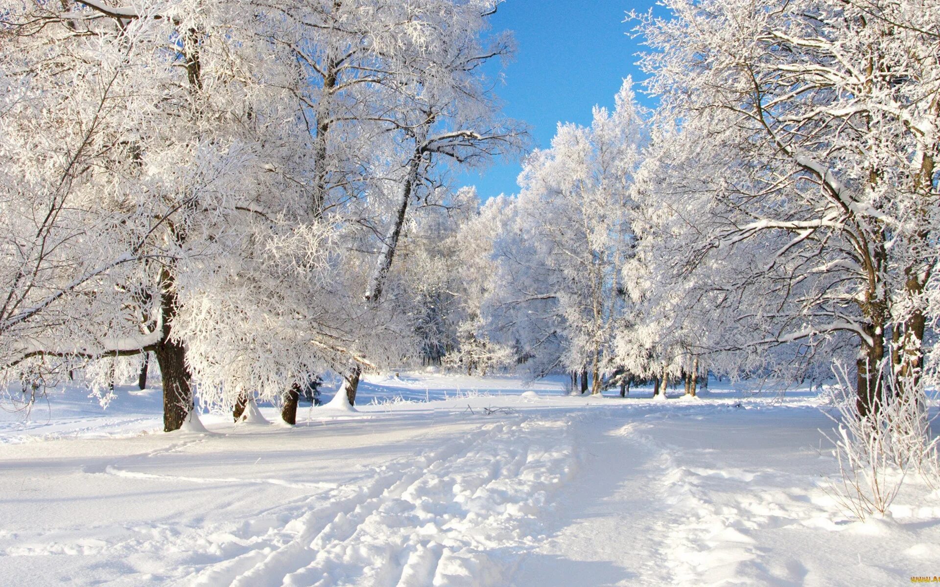 Снежный день на русском. Зима. Зимняя природа. Зима пейзаж. Красивая зима.