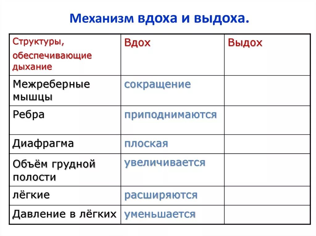 Вдох и выдох таблица. Какие механизмы обеспечивают регуляцию вдоха и выдоха?. Механизм вдоха и выдоха таблица. Механизм дыхания таблица. Механизм вжоха и выжоха.