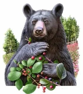 Ягода ягодка медведь медведи пчела