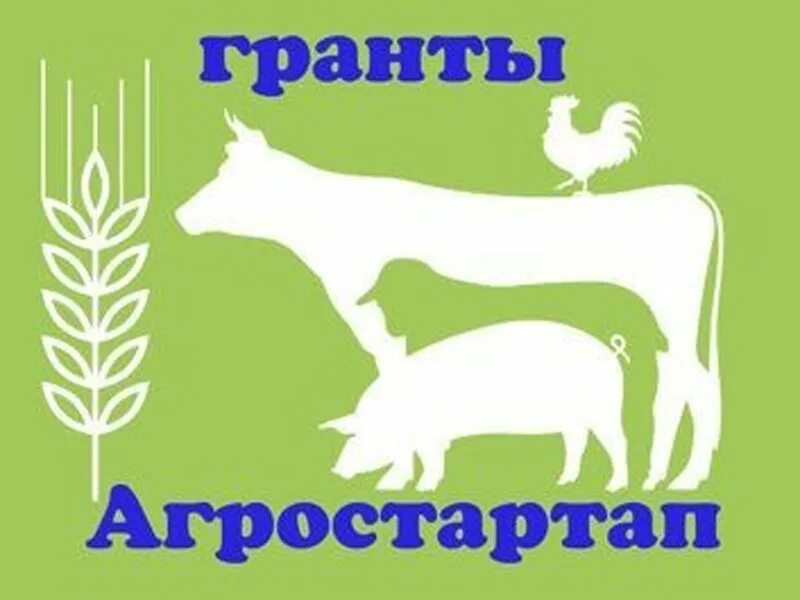 Агростартап 2022. Конкурс грантов «агростартап». Агростартап. Заготовка кормов 2023. Грант агростартап 2023.