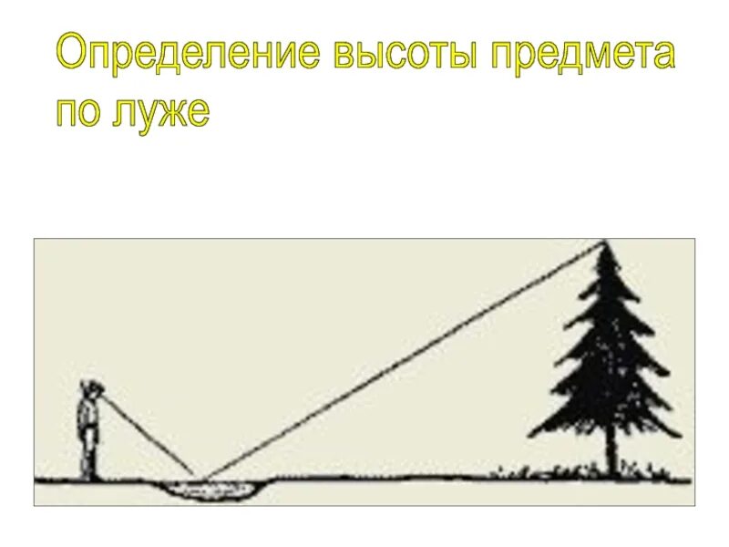 Определение высоты предмета геометрия. Презентация на тему измерение высоты предмета. Измерение высоты при помощи лужи. Определение высоты предмета творческая работа.