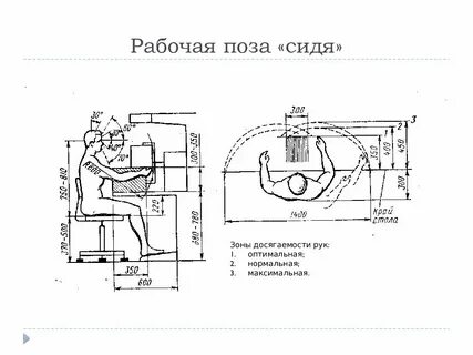 Рабочие позы характеристика