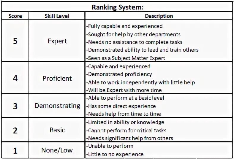 Skill шкала. Scoring System. Skills Audit. Rating Scale for assessing. Full description