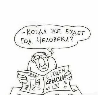 Когда же будет год человека