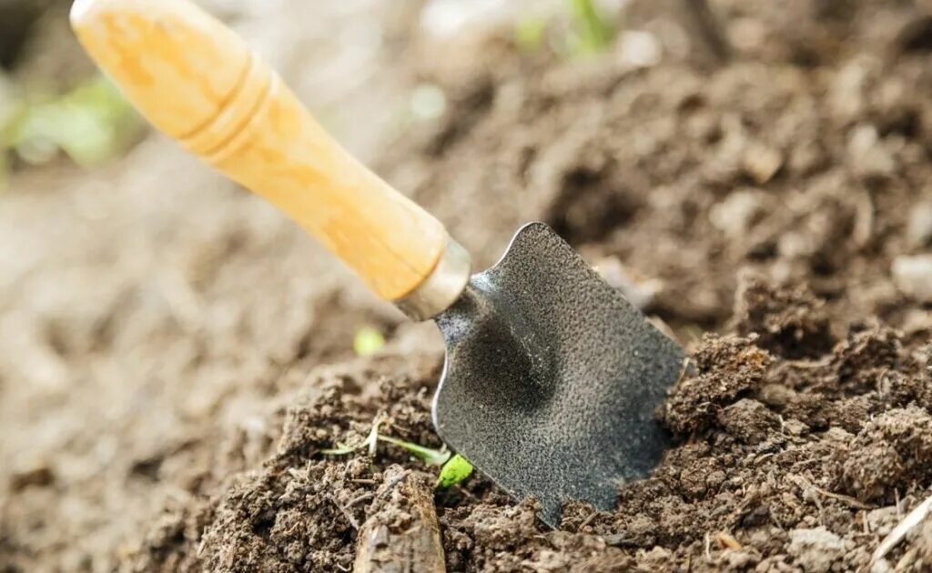 Чем обеззаразить землю весной перед посадкой. Почва. Почва картинки. Земля для посадки рассады. Обеззараживание почвы для рассады.