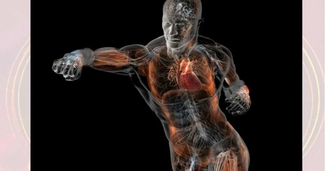 Очень сильный организм. Мощь тела. 15 Интересных трюков для вашего тела. Секреты вашего тела.