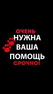 Очень нужна помощь