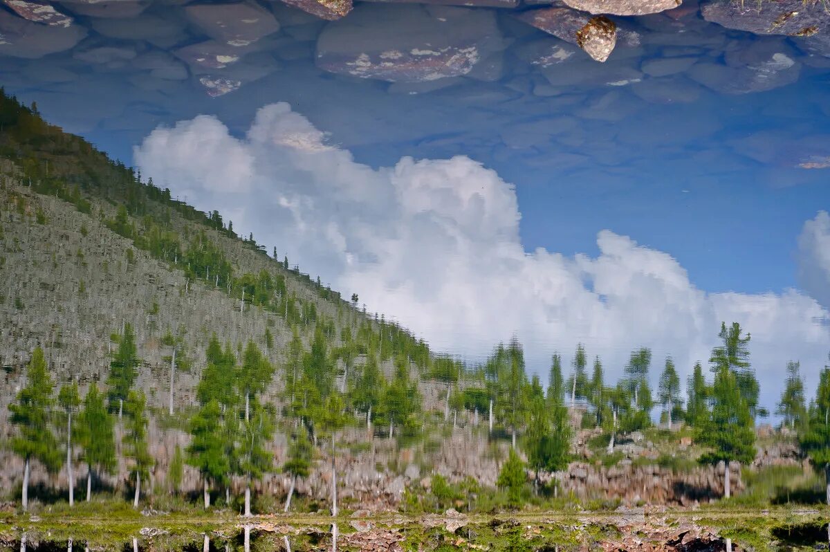 ефремкино хакасия берег.