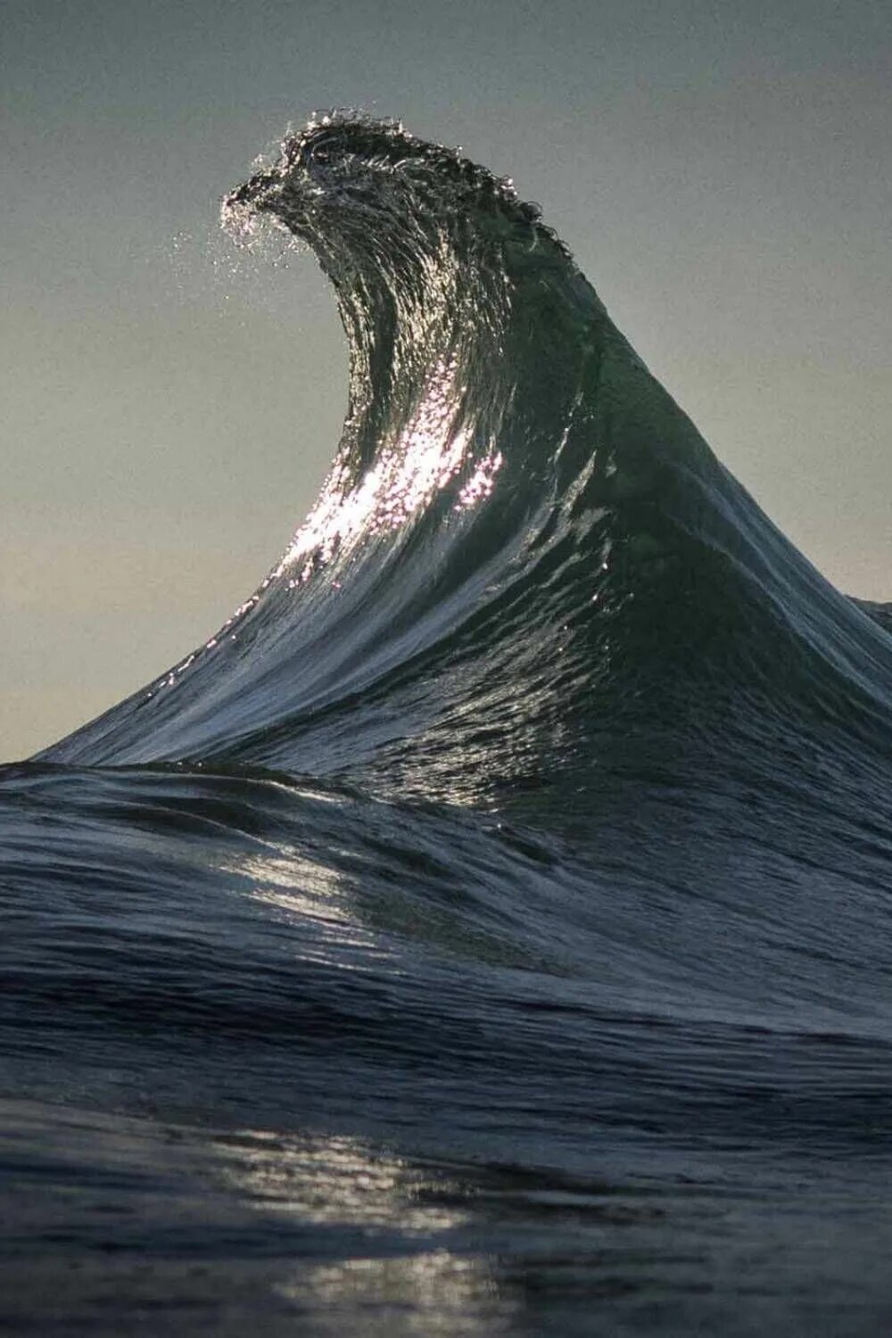 Wave is open. Wave is open
