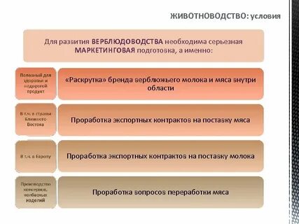 Скотоводство перспективы развития