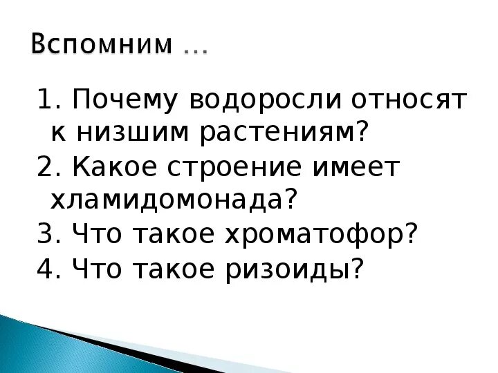 Водоросли относятся к растениям так как. Почему водоросли низшие растения. Почему водоросли относят к низшим растениям. Почему водоросли относят к растениям. Почему водоросли относятся к низшим.