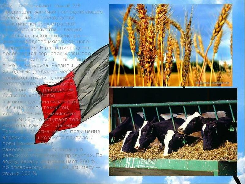 Продукция сельского хозяйства франции. Хозяйство франции презентация. ведущие отрасли сельского хозяйства франции. хозяйство франции кратко. сельское хозяйство франции презентация.