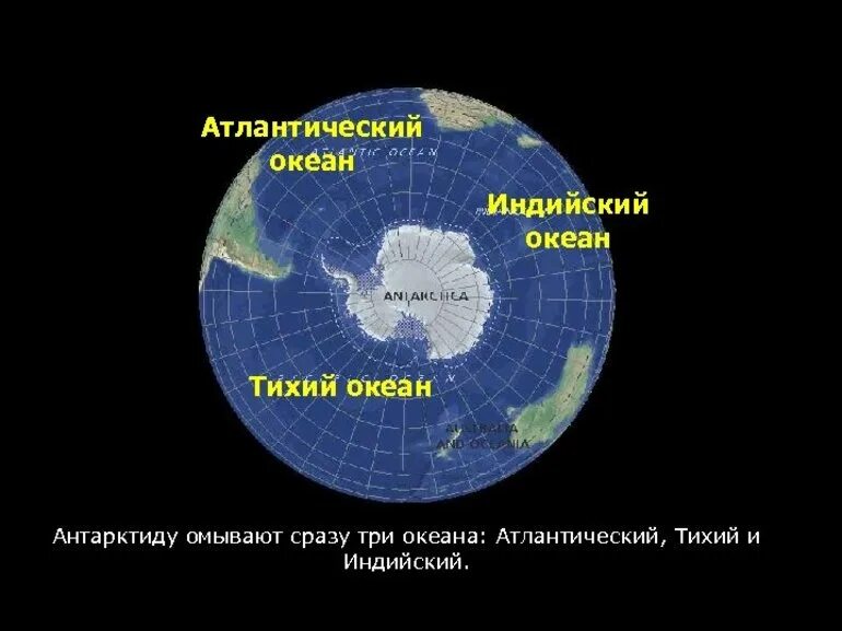 Положение антарктиды к океанам. Какие океаны омывают Антарктиду. Антарктида моря и океаны омывающие материк. Моря омывающие Антарктиду. Какие океаны омывают материк Антарктида.