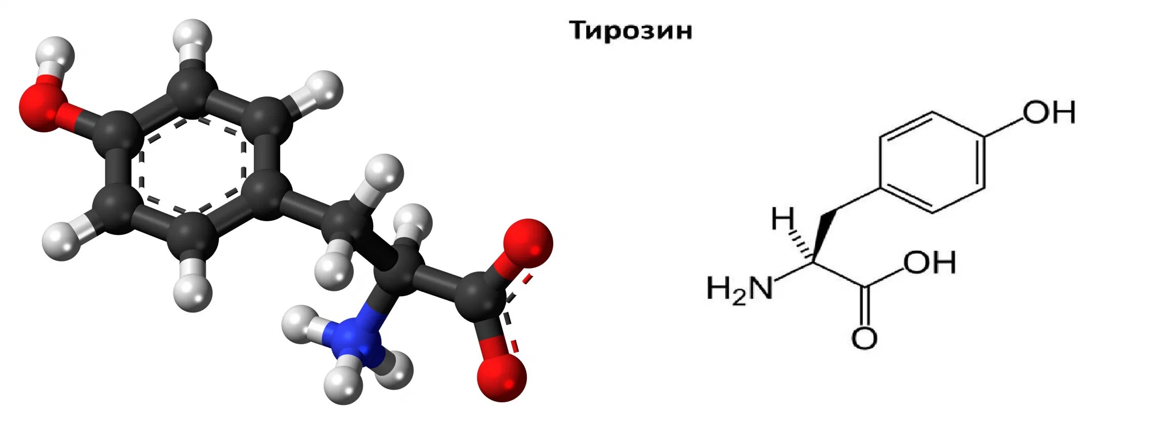 Л тирозин. Тирозин формула химическая. тирозин аминокислота формула. формула тирозина химия. тирозин структурная формула.