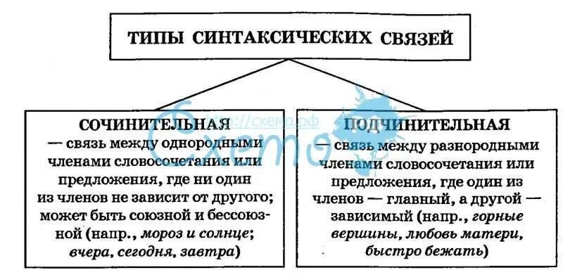 Предложение 1 с сочинительной и подчинительной. Виды синтаксической связи. Типы подчинительной синтаксической связи. Виды синтаксической связи в предложении примеры. Виду стнтаксический связи.