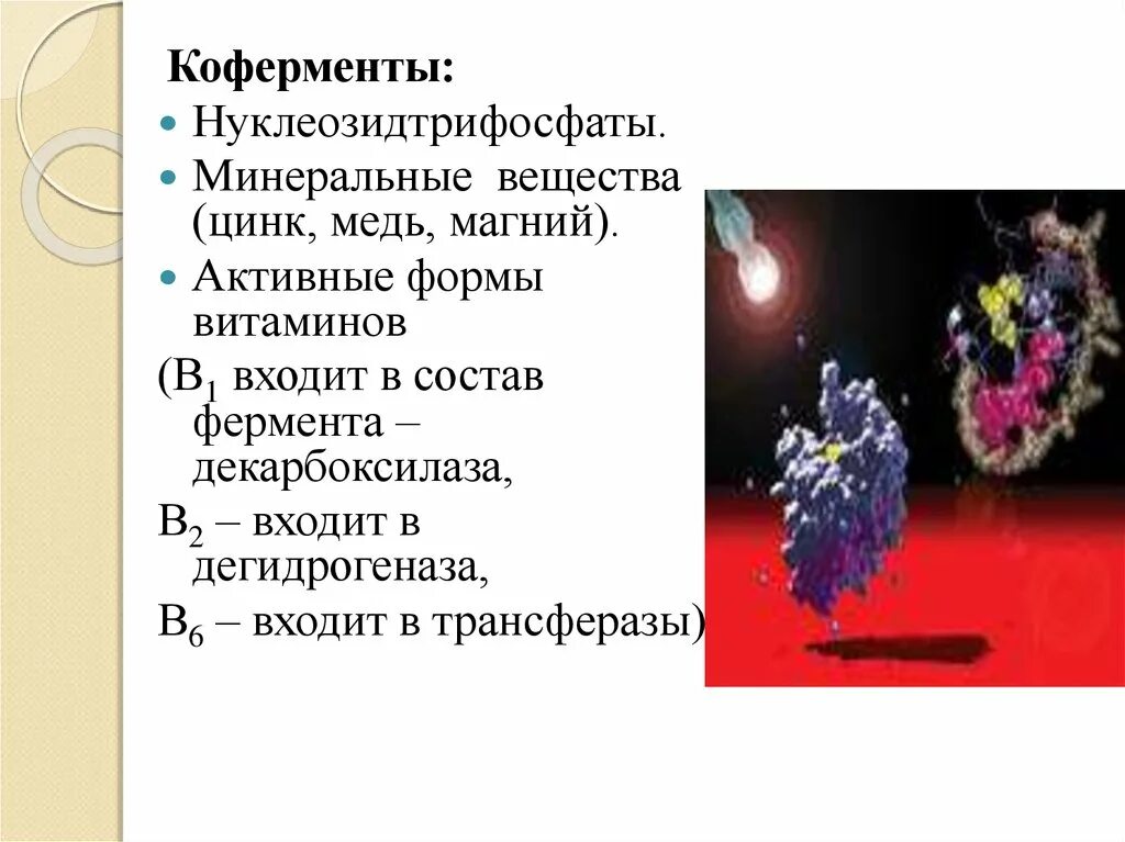 Магний ферменты. Цинк минеральное вещество. Магний кофермент. Магний в составе ферментов. Цинк ферменты