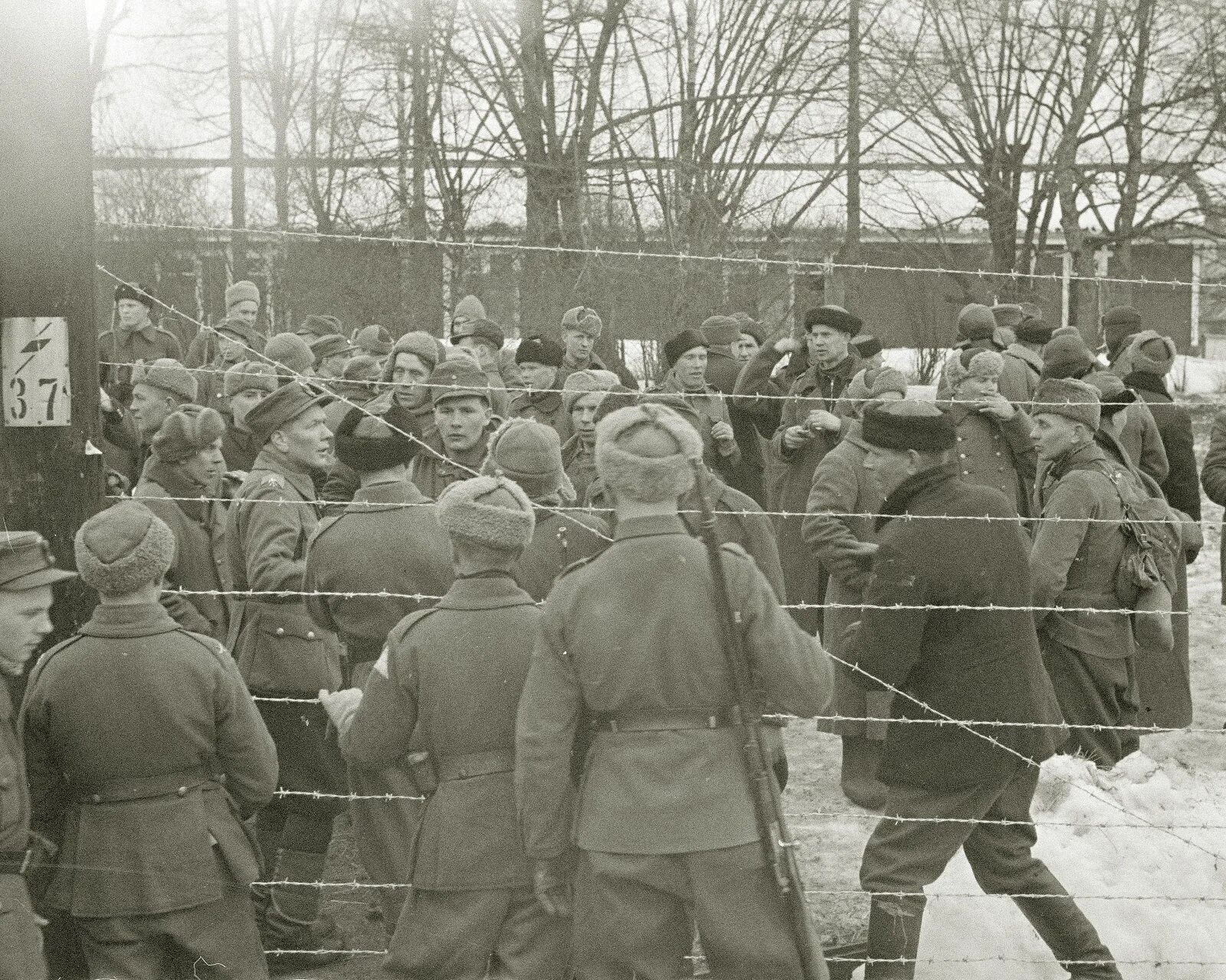 Финские пленные солдаты 1939-1940. Пленные бойцы РККА В 1944 году.