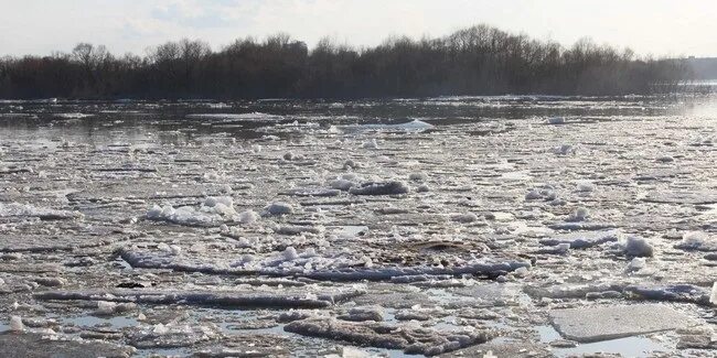 Загрязнение Иртыша. Омская область загрязнение Иртыша. Загрязнение Иртыша в Омске. Река в марте.