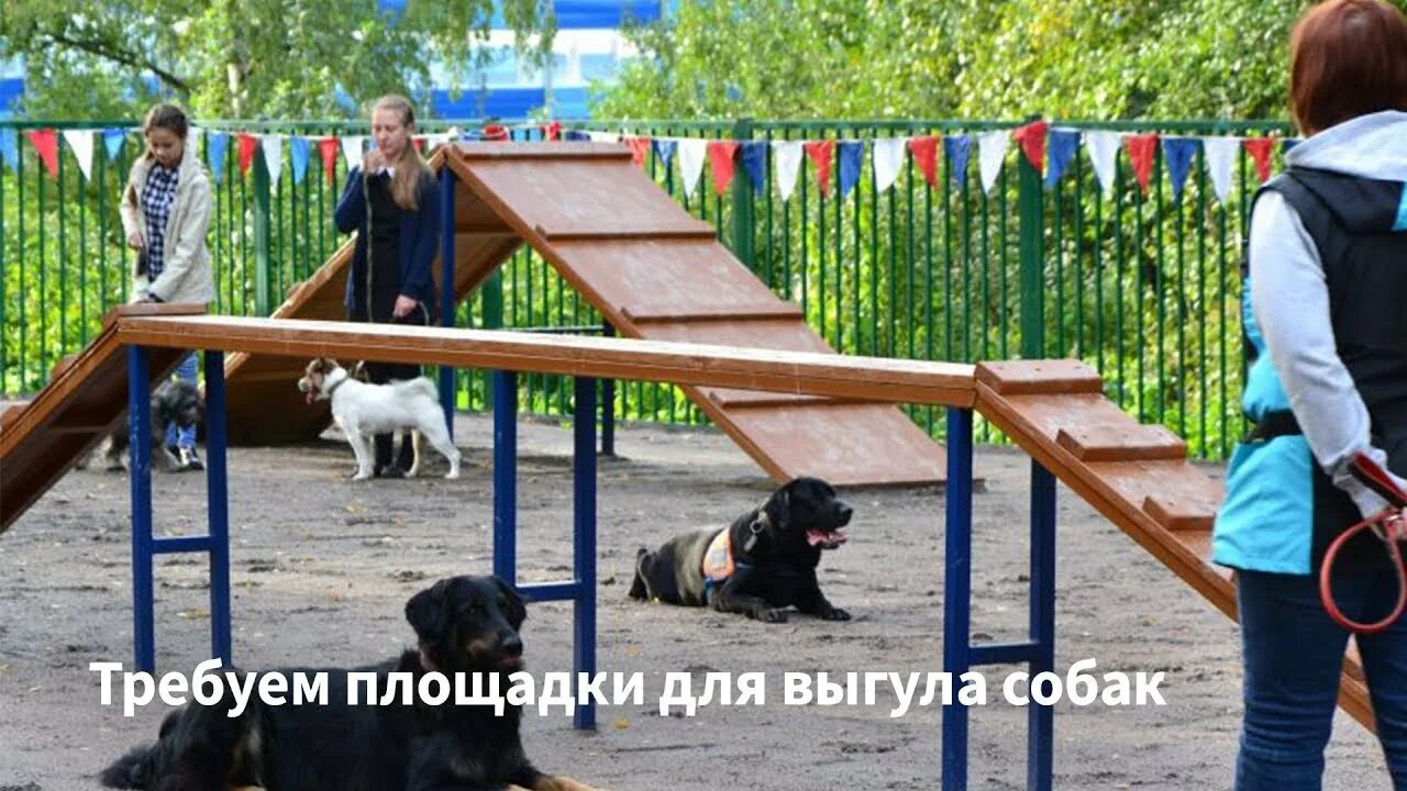 Парк пехорка собачья площадка. Фото собачьих площадок. Собачья площадка в москве. Парк для собак. Платоновский парк площадка для собак.