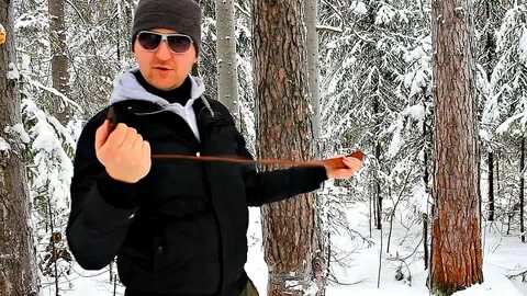 Лесные ютуб последнее