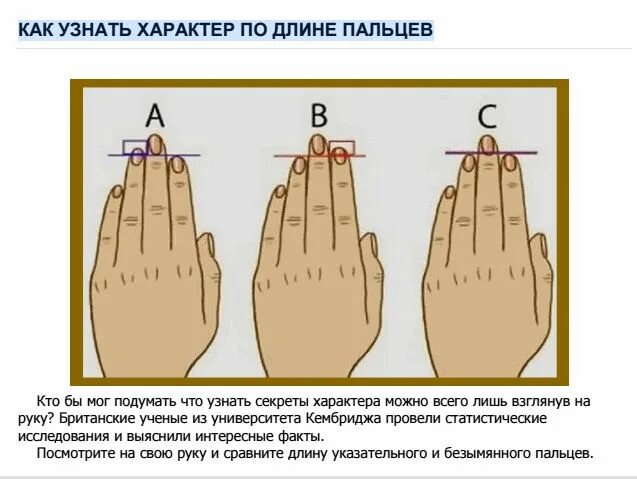 Определить характер мужчины. Как определить человека по форме пальцев. Как определить темперамент по пальцам. Характер по длине пальцев рук. Характер по пальцам рук.