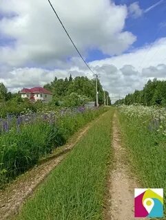 Снт культура