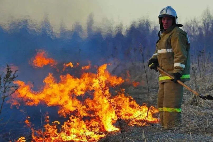Мчс тушение пожаров. Тушение пожара. тушение лесных пожаров. пожарнык в лесу.