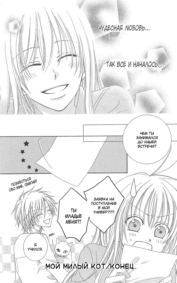 манга единственная с беспрекословный м. тм манга м. мой единственный манга бтс. маньхуа мой единственный кот.