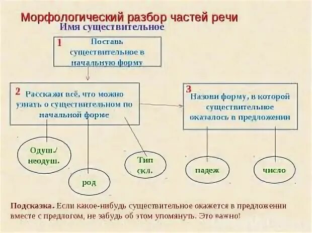 Разбор существительного как часть речи 4 класс. Схема разбора как часть речи. Разбор части речи. Разобрать существительное как часть речи.