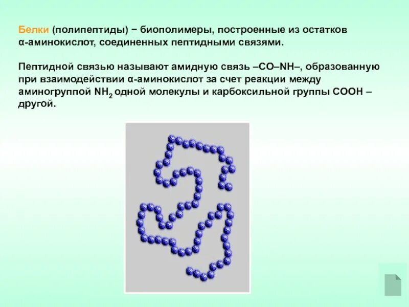 Белки ( протеины, полипептиды ) высокомолекулярные. Белки полипептиды. Пептиды полипептиды белки. Белки соединены пептидными связями.