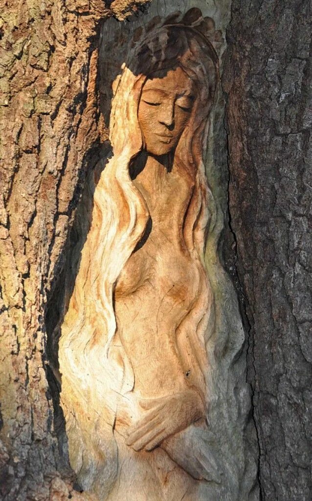 Трансформация дерева. Превращение в дерево арт. Девушка превращается в дерево. Девушка превращается в дерево. Девушка превращается в дерево.