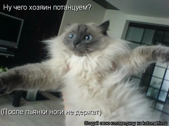 Рон перлман похож на собаку. Результат кадастровых работ. Хозяева или хозяева. Потребительной стоимостью является. Хозяева или хозяева.