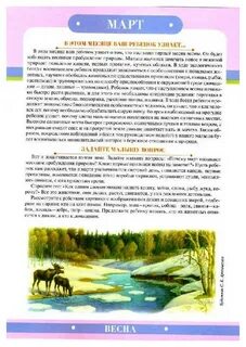 Наглядная информация называется