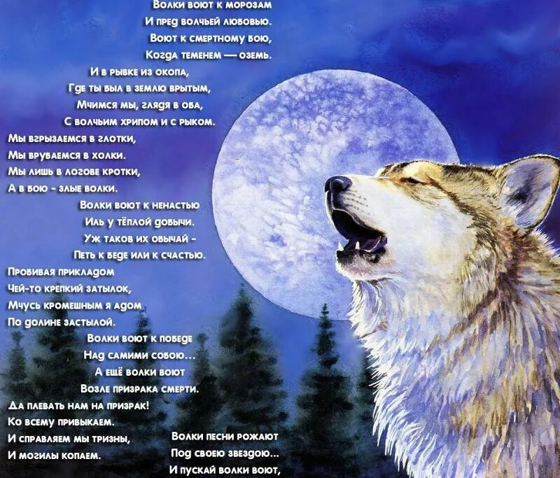 Слушать песню вою волком. Волк в тайге. Слушать песню вою волком. Обложка на альбом музыкальный с волками. Волк альбом.