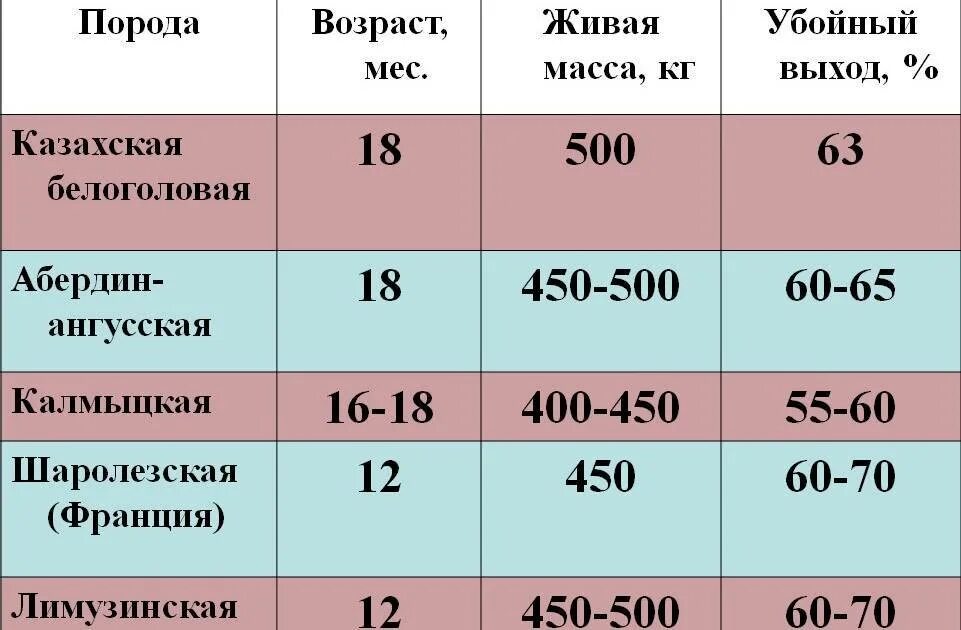 Процент мяса от живого веса. Выход говядины от живого веса. Таблица убойного выхода мяса КРС. Выход мяса от живого веса. Таблица выход мяса КРС.