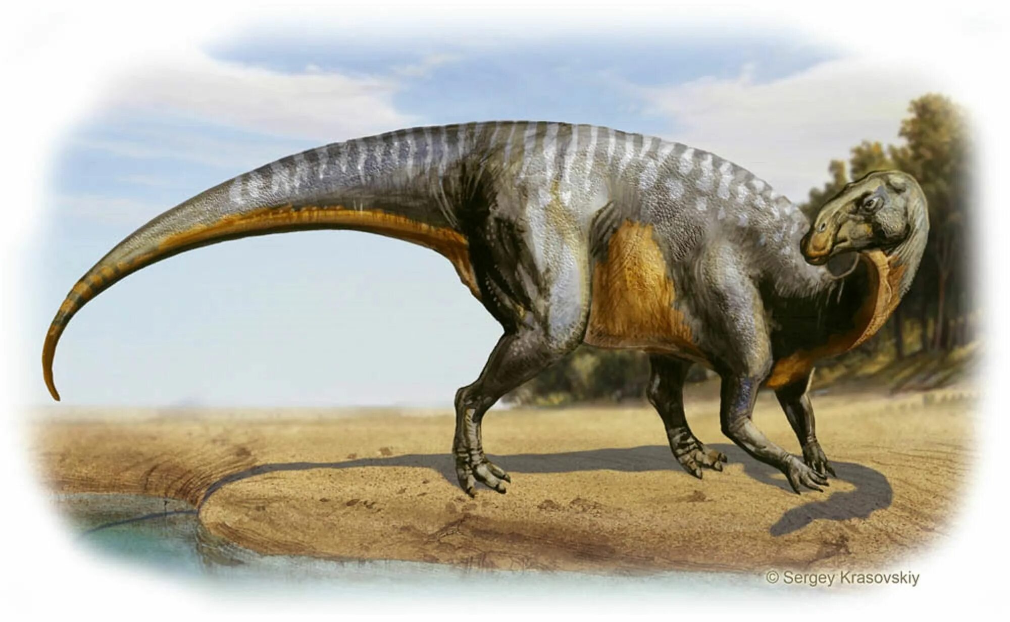 Гадрозавр. Гадрозавр динозавр. Утконосый Гадрозавр. Гадрозавр гадрозавриды.