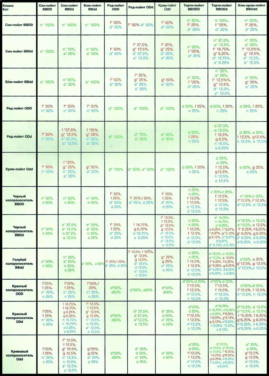 таблица генетики окрасов шотландских кошек. окрас котят мейн кунов таблица. окрас мейн куна таблица. генетика окрасов кошек. окрас котят мейн кунов таблица.