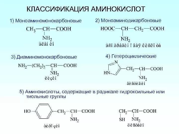 Классификация аминокислот моноаминомонокарбоновые. Структурная классификация аминокислот. Аминокислоты содержащие гидроксильную группу. Гидроксигруппу содержат аминокислоты. Состав радикалов аминокислот