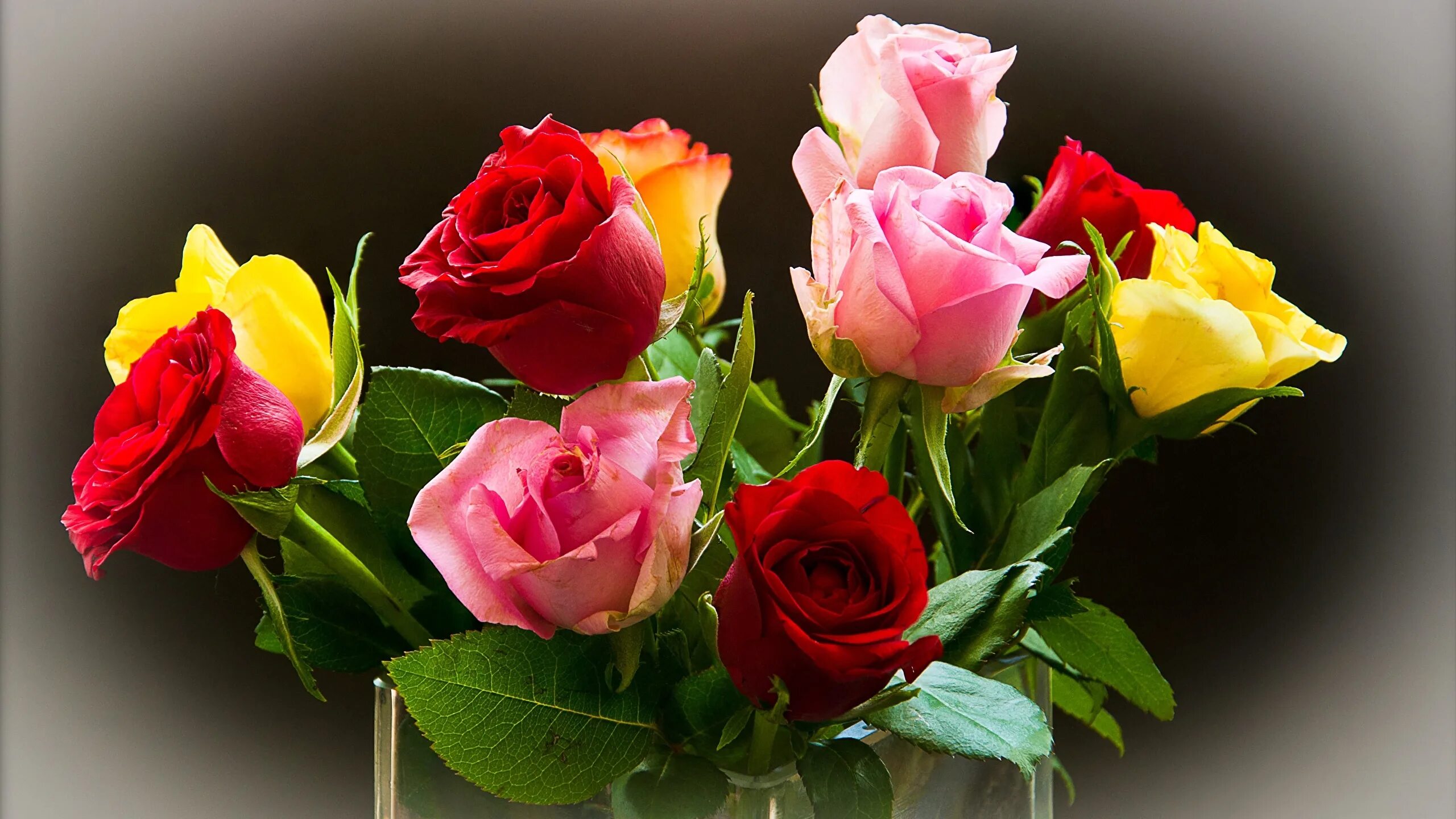 Beautiful rose flowers. Красивые цветы. Шикарные цветы. Красивые розы. Разные цветы.