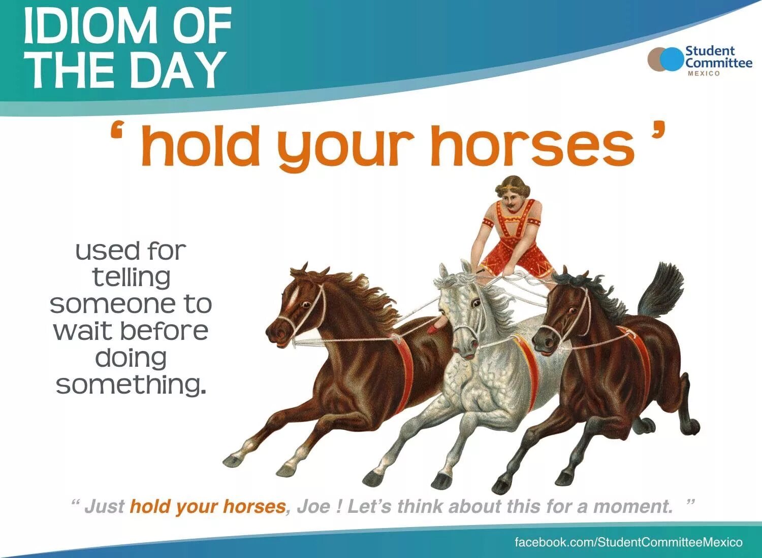 Hold your Horses идиома. Horses for courses идиома. Идиомы с лошадьми. Идиомы на английском с лошадью.